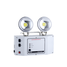 High lumen output LED twin spot emergency light